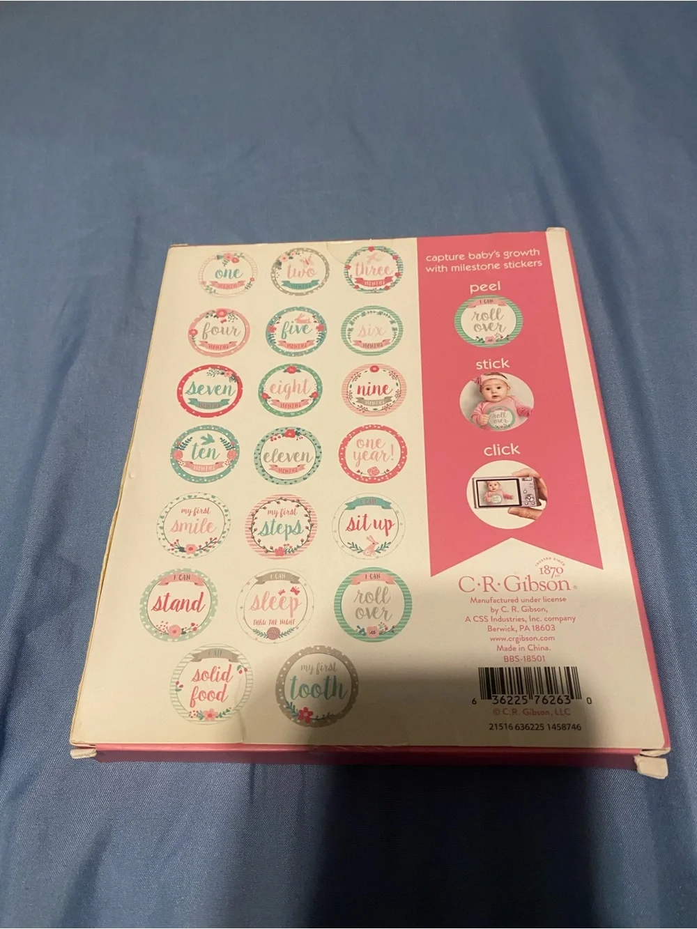 Baby's First Year Belly Stickers - Pink Floral One Month Set